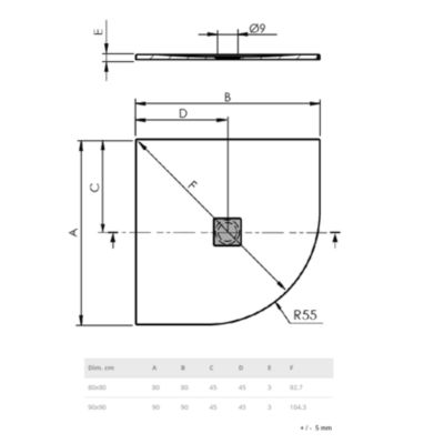 Receveur de douche 80 x 80 cm extra plat LOGIC surface ardoisee semi-circulaire blanc