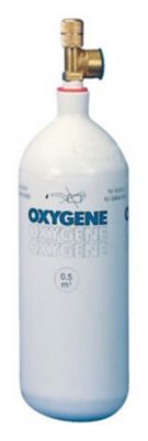 Recharge Oxygene Campingaz 500 L Castorama