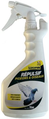 Repulsif anti-pigeons : Devis sur Techni-Contact - Répulsif pigeon