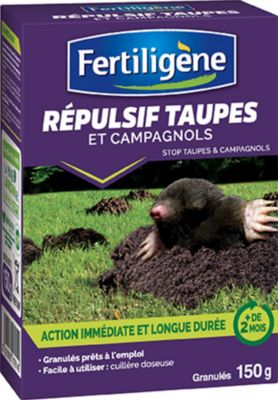 Les solutions écolos anti-taupe