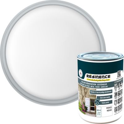 Résine de rénovation extérieur multi-support perce neige satin Résine extérieur nce 0,5L