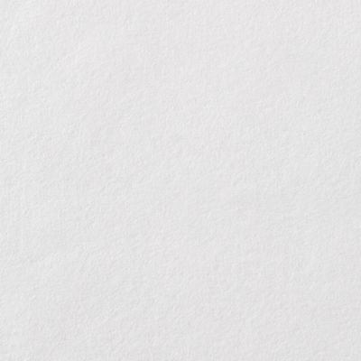 Revêment de rénovation sur intissé Diall blanc 15m