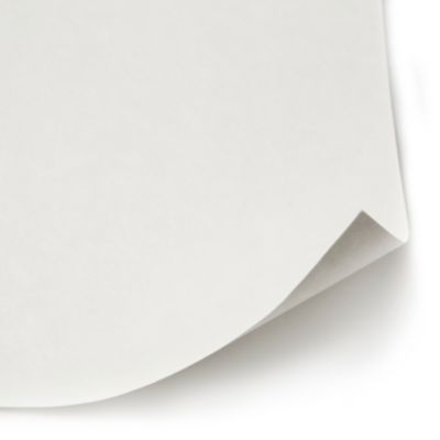 Revêment de rénovation sur intissé Diall blanc 50m 120g/m²