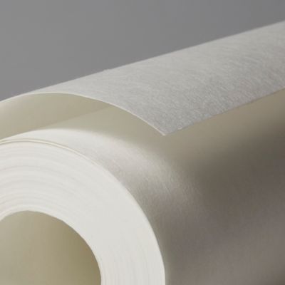 Revêment de rénovation sur intissé Diall blanc 50m 120g/m²