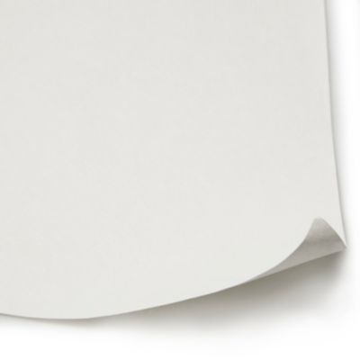 Revêtement de rénovation Diall blanc 160g/m² 15m +5m gratuit