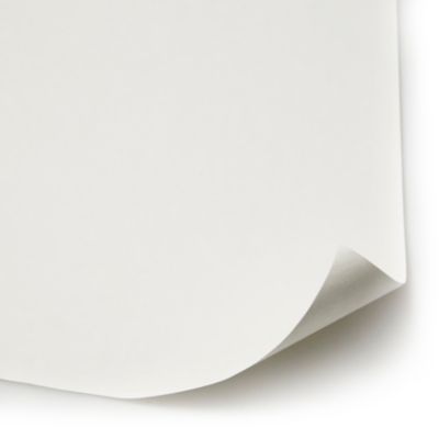 Revêtement de rénovation lisse prépeint Diall 160g/m² L.15 m (Vendu au rouleau)