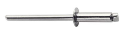 Rivets inoxydables Rapid Ø4.8x18mm Acier inoxydable