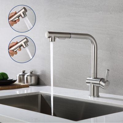 Robinet Cuisine avec Douchette Extractible, Mitigeur de Cuisine en Inox Mitigeur d'Évier avec 2 Modes de Sortie D'eau, Brossé