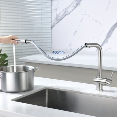 Robinet Cuisine avec Douchette Extractible, Mitigeur de Cuisine en Inox Mitigeur d'Évier avec 2 Modes de Sortie D'eau, Brossé