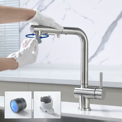 Robinet Cuisine avec Douchette Extractible, Mitigeur de Cuisine en Inox Mitigeur d'Évier avec 2 Modes de Sortie D'eau, Brossé