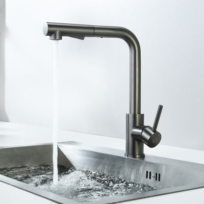 Robinet Cuisine avec Douchette Extractible, Mitigeur de Cuisine en Inox Mitigeur d'Évier avec 2 Modes de Sortie D'eau