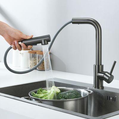 Robinet Cuisine avec Douchette Extractible, Mitigeur de Cuisine en Inox Mitigeur d'Évier avec 2 Modes de Sortie D'eau
