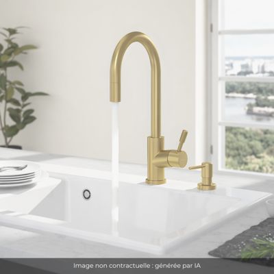 Robinet cuisine VILLEROY ET BOCH Umbrella flex + Distributeur de savon Or mat