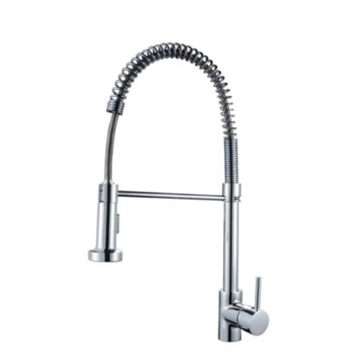 Robinet de cuisine 805 chromé à tête amovible collection Erymanthe
