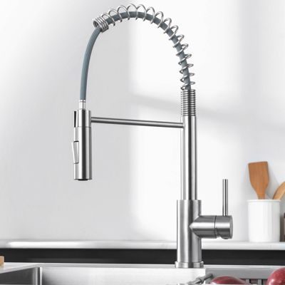 Robinet de Cuisine avec Douchette Extractible, Mitigeur Cuisine en Inox Mitigeur d'Évier avec 2 Modes de Sortie D'eau, Brossé