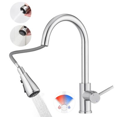 Robinet de Cuisine avec Douchette Extractible, Mitigeur Cuisine en Inox Mitigeur d'Évier avec 2 Modes de Sortie D'eau, Brossé