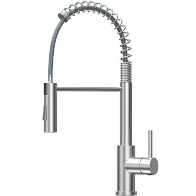 Robinet de Cuisine avec Douchette Extractible, Mitigeur Cuisine en Inox Mitigeur d'Évier avec 2 Modes de Sortie D'eau, Brossé