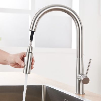 Robinet de Cuisine avec Douchette Extractible, Mitigeur Cuisine en Inox Mitigeur d'Évier avec 2 Modes de Sortie D'eau, Brossé