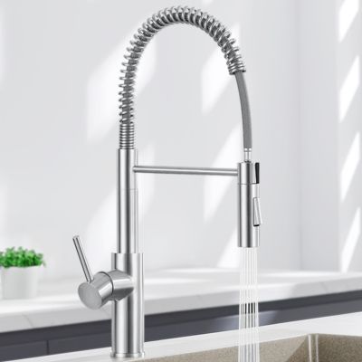 Robinet de Cuisine avec Douchette Extractible, Mitigeur Cuisine en Inox Mitigeur d'Évier avec 2 Modes de Sortie D'eau