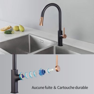 Robinet de Cuisine avec Douchette Extractible Mitigeur de Cuisine Bec Rotatif Robinet d'évier 2 Jets au Choix