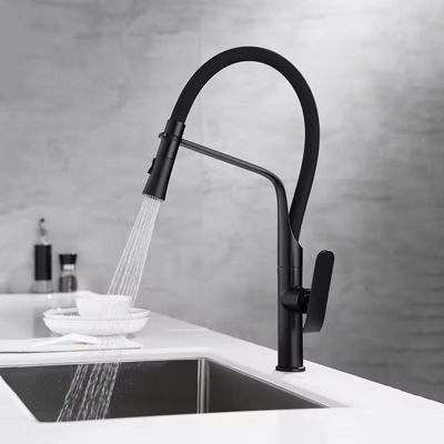 Robinet de cuisine REA Castor Black