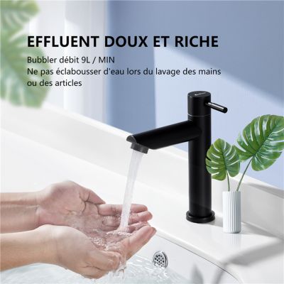 Robinet Eau Froide pour Lave-Mains Robinet Salle de Bain Noir Robinet Lavabo en Acier Inox Robinetterie Mousseur Démontable