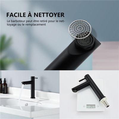 Robinet Eau Froide pour Lave-Mains Robinet Salle de Bain Noir Robinet Lavabo en Acier Inox Robinetterie Mousseur Démontable