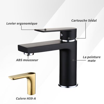 Robinet Salle de Bain Noir Mitigeur de Lavabo en Laiton Robinet de Lavabo pour Salle de Bain Design Moderne