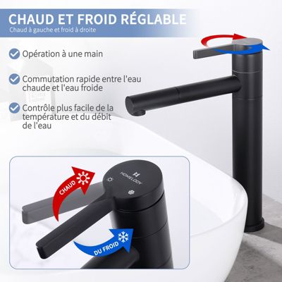 Robinet Salle de Bain Noir Mitigeur pour Vasque Haut Bec Pivotant  Robinetterie de Lavabo en Acier Inox Design Moderne