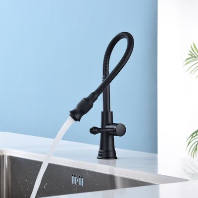 Robinet Cuisine Premier Faucet - Simple Poignée Avec Bec Extracteur - Installation Mono-trou - Neuf