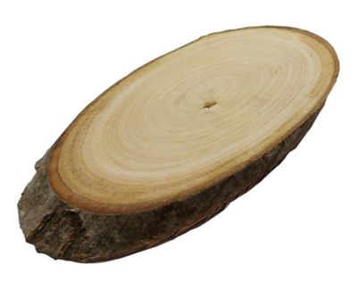 Règle simple en bois 20cm pour une consommation éco-responsable