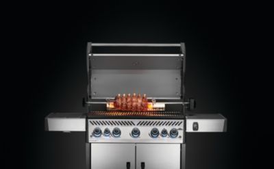 Rôtissoire pour barbecue Napoléon Freestyle 365/425
