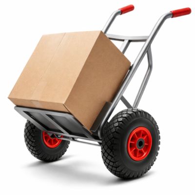 Roue de Chariot  Diable Increvable  3.00-4  260x85  160Kg  alésage 20mm