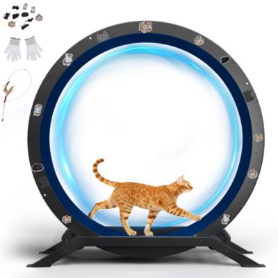 Roue pour Chat, Roue d'exercice pour Chat, XL- 100 cm avec Tapis Amovible, Autocollants, système de Verrouillage, Métal