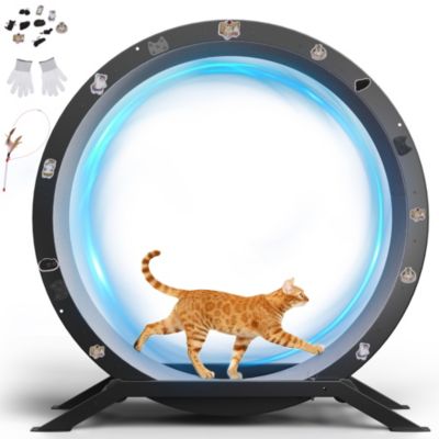 Roue pour Chat, Roue d'exercice pour Chat, XL- 100 cm avec Tapis Amovible, Autocollants, système de Verrouillage, Métal