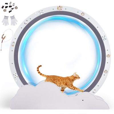 Roue pour Chat, Roue d'exercice pour Chat, XL- 100 cm, Ultra-silencieuse avec Tapis Amovible, Autocollants, Verrouillage, Métal