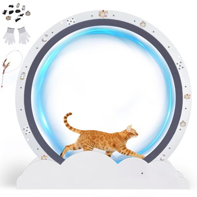 Roue pour Chat, Roue d'exercice pour Chat, XL- 101 cm, Ultra-silencieuse avec Tapis Amovible, Autocollants, Verrouillage, Métal