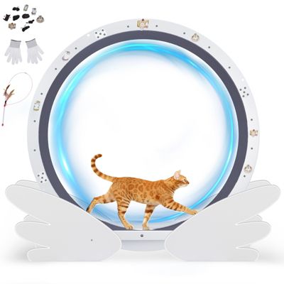 Roue pour Chat, Roue d'exercice pour Chat, XL- 102 cm, Ultra-silencieuse avec Tapis Amovible, Autocollants, Verrouillage, Métal