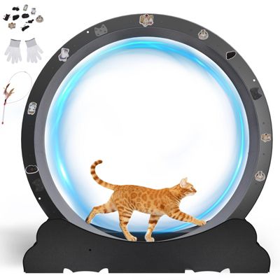 Roue pour Chat, Roue d'exercice pour Chat, XL- 105 cm, Ultra-silencieuse avec Tapis Amovible, Autocollants, Verrouillage, Métal