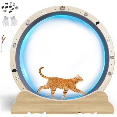 Roue pour Chat, Roue d'exercice pour Chat, XL- 106 cm, Ultra-silencieuse avec Tapis Amovible, Autocollants, Verrouillage, Métal