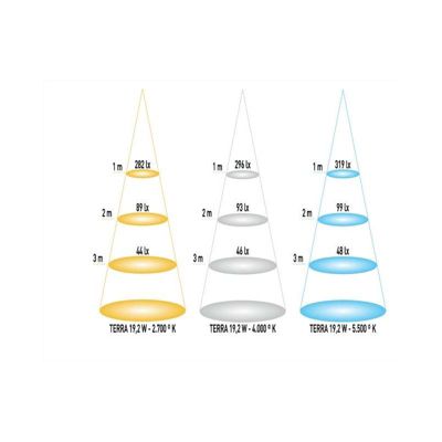 Ruban LED Blanc 24V haute luminosité 120 LED/m étanche 19W/m 5m - Blanc du Jour 5500K