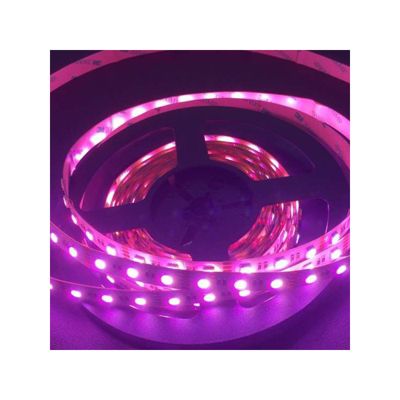 Ruban LED RGBW Blanc Naturel 4000K 60LED/m 17W/m - Longueur 5m