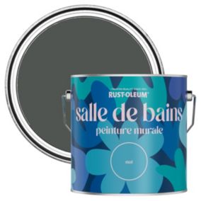 Rust-Oleum Peinture pour Murs de Salle de Bains, Mate - Graphite 2,5 L