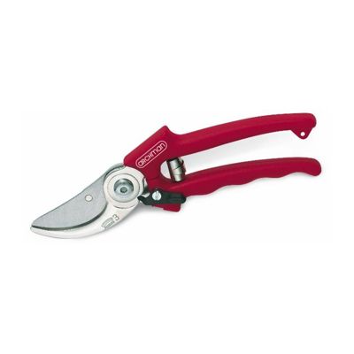 Sécateur professionnel d'élagage L 210 mm coupe diam 24 mm