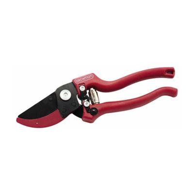 Sécateur professionnel de taille lame téflon enclume courbe L 210 mm coupe diam 25 mm