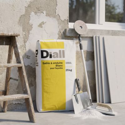 Sable à enduire blanc pour façades Diall 25 kg