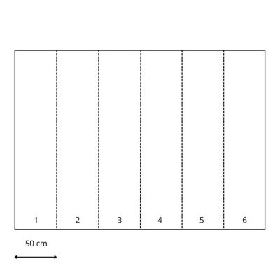 Sanders & Sanders papier peint panoramique jungle vert foncé - 3 x 2.79 m - 950025