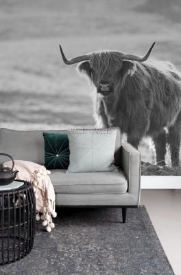 Sanders & Sanders papier peint panoramique Vache Highland noir et blanc - 300 x 279 cm - 950001