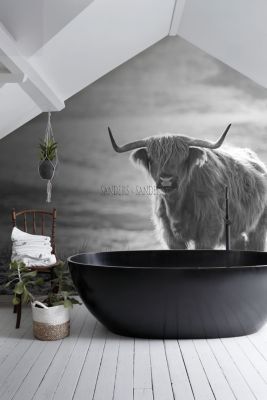 Sanders & Sanders papier peint panoramique Vache Highland noir et blanc - 300 x 279 cm - 950001