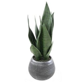 Sansevieria verte artificielle h.49 cm